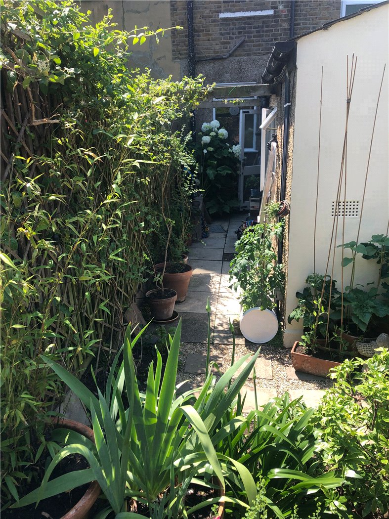 Rear Garden P2